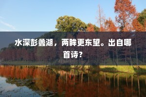 水深彭蠡湖，两眸更东望。出自哪首诗？