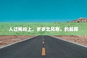 人过梅岭上，岁岁北风寒。的解释