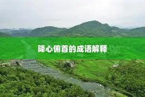 降心俯首的成语解释
