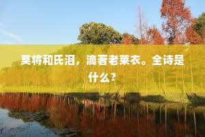 莫将和氏泪，滴著老莱衣。全诗是什么？