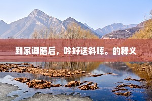 到家调膳后，吟好送斜晖。的释义