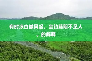 有时浪白微风起，坐钓藤阴不见人。的解释