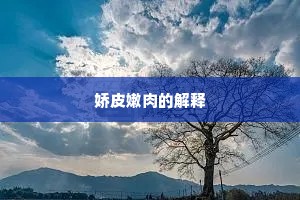 娇皮嫩肉的解释