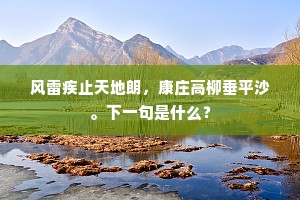 风雷疾止天地朗，康庄高柳垂平沙。下一句是什么？
