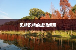 见精识精的成语解释