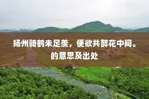 扬州骑鹤未足羡，便欲共醉花中间。的意思及出处