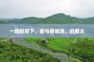 一蹬斜其下，杳与香城通。的释义