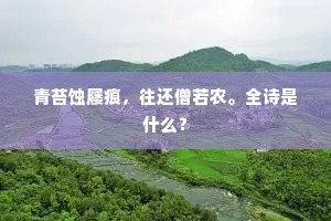 青苔蚀屦痕，往还僧若农。全诗是什么？