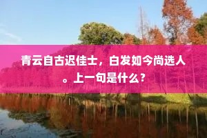 青云自古迟佳士，白发如今尚选人。上一句是什么？