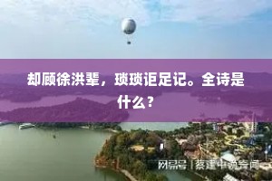 却顾徐洪辈，琐琐讵足记。全诗是什么？