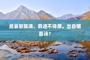 危衷慰孤清，羁迹不待屏。出自哪首诗？