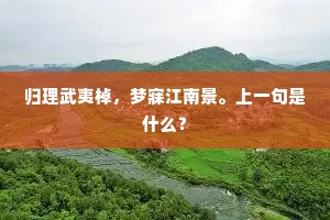 归理武夷棹，梦寐江南景。上一句是什么？