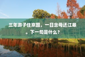 三年游子住京国，一日念母还江皋。下一句是什么？