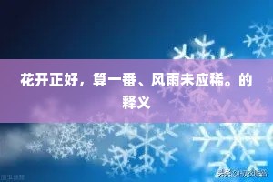 花开正好，算一番、风雨未应稀。的释义