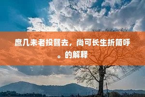 庶几未老投簪去，尚可长生折简呼。的解释