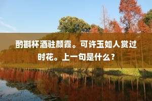酌斟杯酒驻颜霞。可许玉如人赏过时花。上一句是什么？