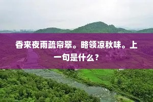 香来夜雨疏帘翠。略领凉秋味。上一句是什么？