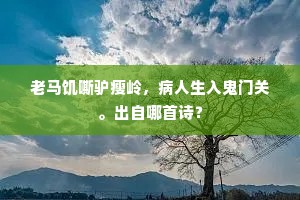 老马饥嘶驴瘦岭，病人生入鬼门关。出自哪首诗？