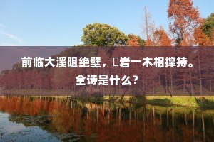 前临大溪阻绝壁，巉岩一木相撑持。全诗是什么？