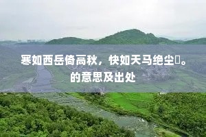 寒如西岳倚高秋，快如天马绝尘鞚。的意思及出处