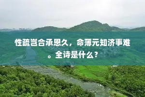 性疏岂合承恩久，命薄元知济事难。全诗是什么？