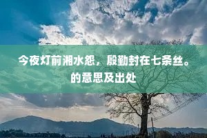 今夜灯前湘水怨，殷勤封在七条丝。的意思及出处