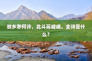 故乡渺何许,北斗高嵯峨。全诗是什么? 故乡渺何许,北斗高嵯峨。全诗是什么?