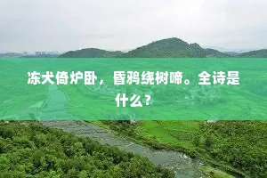 冻犬倚炉卧,昏鸦绕树啼。全诗是什么? 冻犬倚炉卧,昏鸦绕树啼。全诗是什么?