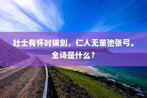 壮士有怀时拔剑，仁人无策弛张弓。全诗是什么？