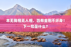 本无我相无人相，岂有金刚不坏身！下一句是什么？