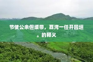 节使公余但缓带，荔湾一任开园垣。的释义