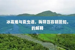 冰霜难与夏虫语，晦朔岂容朝菌知。的解释