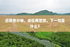 迟明各分袂，去住两悠悠。下一句是什么？
