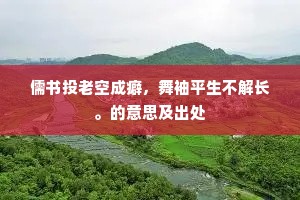 儒书投老空成癖，舞袖平生不解长。的意思及出处