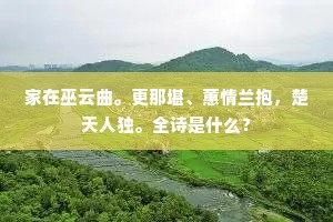 家在巫云曲。更那堪、蕙情兰抱，楚天人独。全诗是什么？