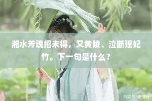 湘水芳魂招未得,又黄陵、泣断瑶妃竹。下一句是什么? 湘水芳魂招未得,又黄陵、泣断瑶妃竹。下一句是什么?