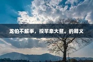 龙伯不解事，投竿牵大鳌。的释义
