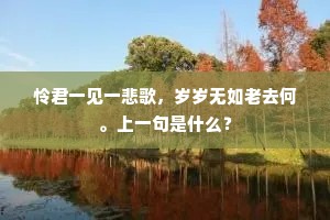 怜君一见一悲歌，岁岁无如老去何。上一句是什么？