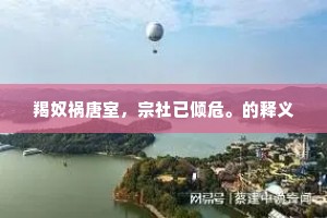 羯奴祸唐室，宗社已倾危。的释义