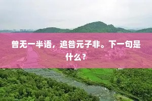 曾无一半语，追咎元子非。下一句是什么？