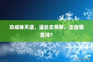 功成体天道，退处志莫移。出自哪首诗？
