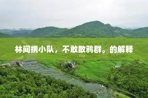 林间携小队，不敢散鸦群。的解释
