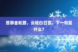 苔静金轮路，云轻白日宫。下一句是什么？