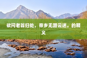 欲问老翁归处，帝乡无路云迷。的释义