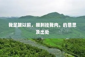 我足跛以前，棘刺挂我肉。的意思及出处