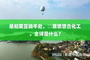 悬知蓑笠骑牛处，□意悠悠合化工。全诗是什么？