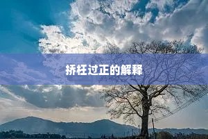 挢枉过正的解释