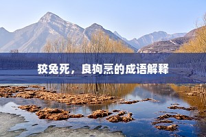 狡兔死，良狗烹的成语解释