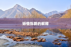 矫情饰貌的解释