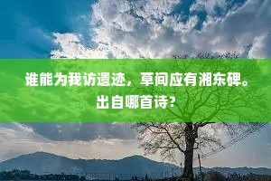 谁能为我访遗迹，草间应有湘东碑。出自哪首诗？